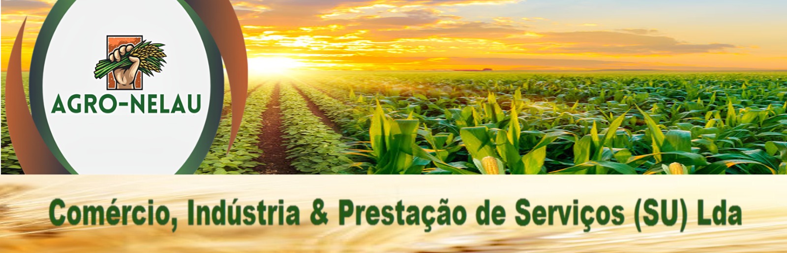 Banner Agro-Nelau